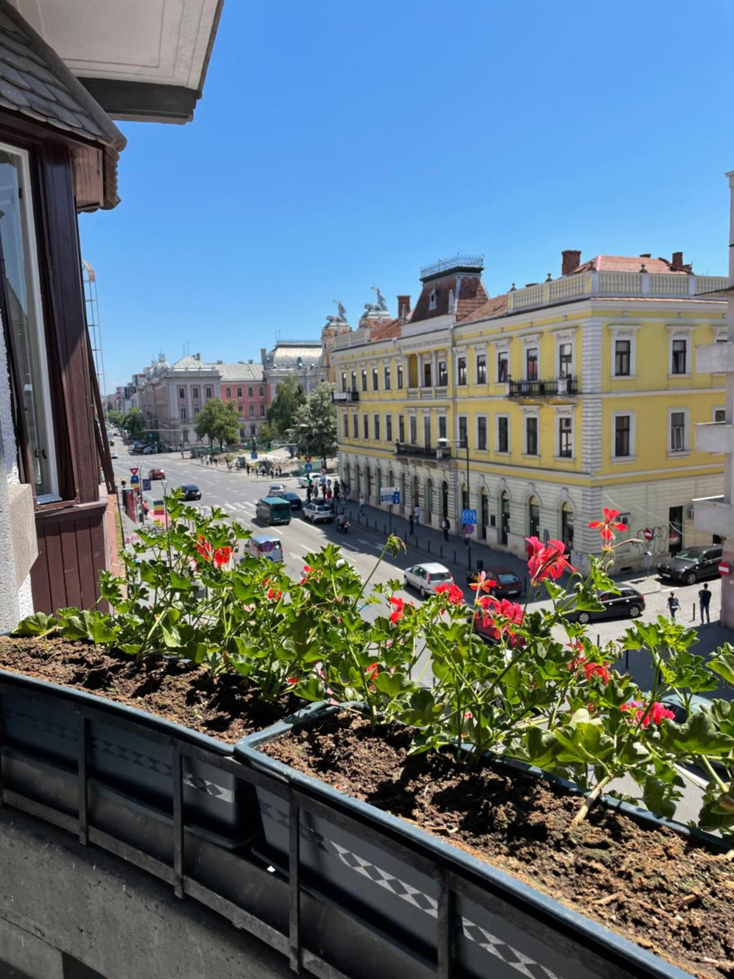 Littleparis Διαμέρισμα Κλουζ-Ναπόκα Εξωτερικό φωτογραφία